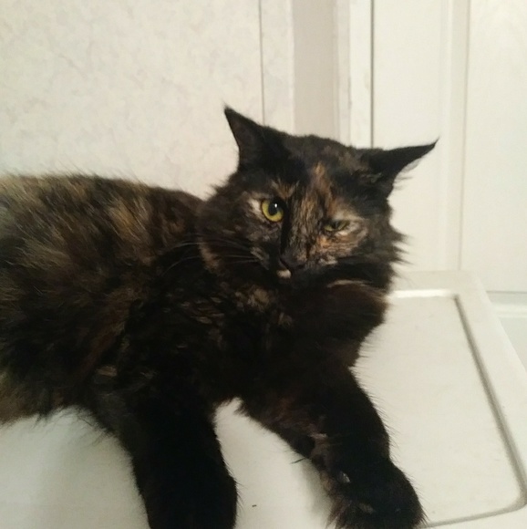 Meet your Posher, Jenny - Picture 9 of 16